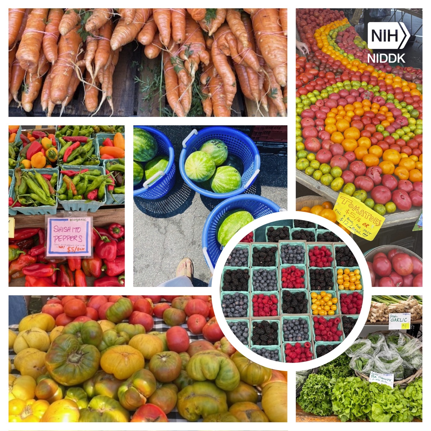 Photographic compilation of fruit and vegetables at farmers markets